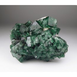 Fluorite Diana Maria Mine - Rogerley M04919